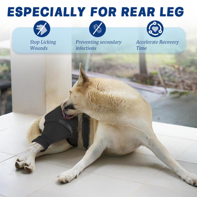 Dog Single Rear Leg Sleeve1-supet