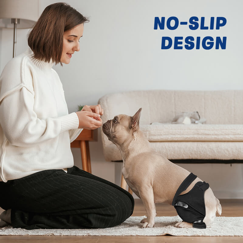 Dog Single Rear Leg Sleeve5-supet