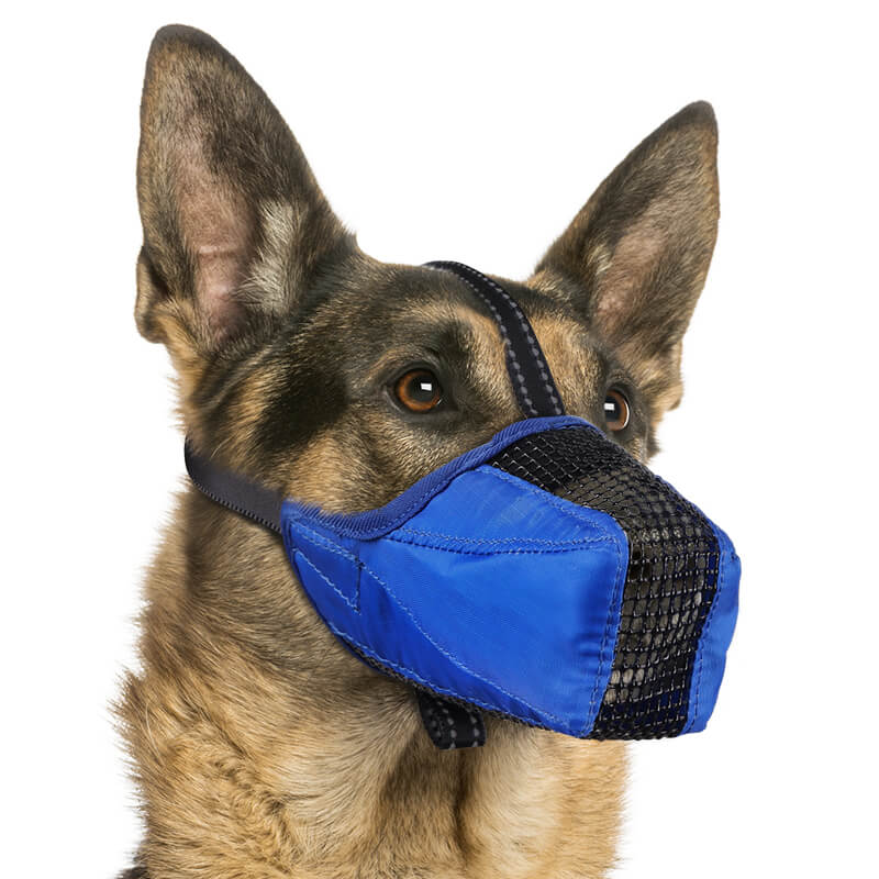 Mesh Dog Muzzle_blue-Supet