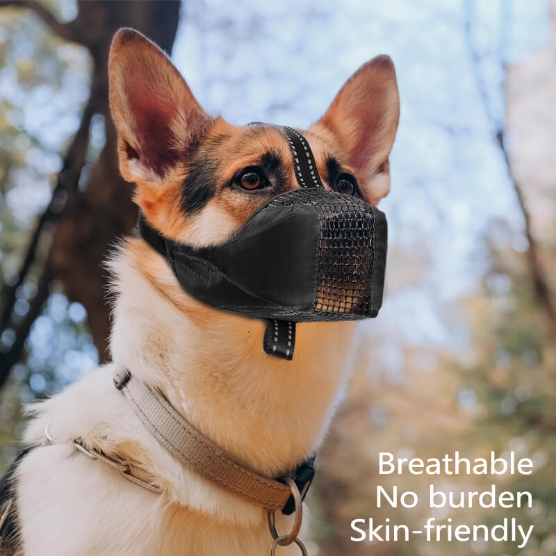 Mesh Dog Muzzle6-Supet