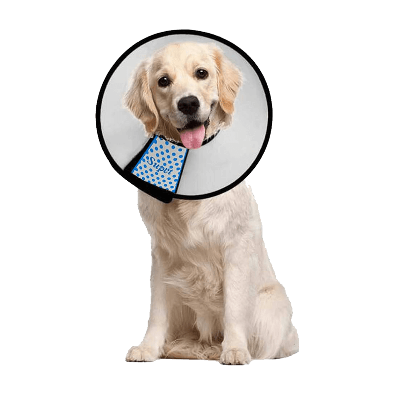 Supet Clear PVC Dog Cone for Dogs after Surgery