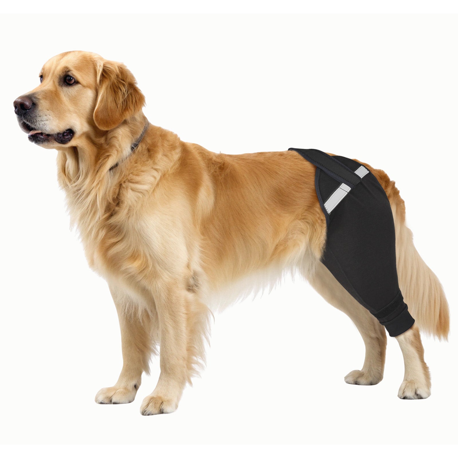 Upgraded Dog Rear Leg Sleeve_black-supet