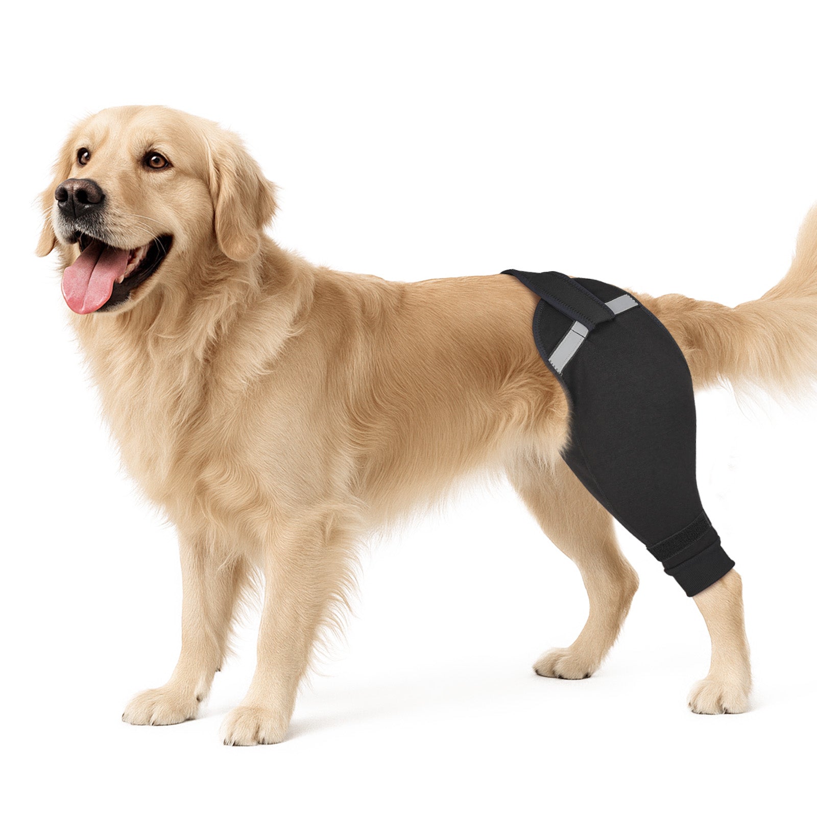 Upgraded Dog Rear Leg Sleeve_black-supet