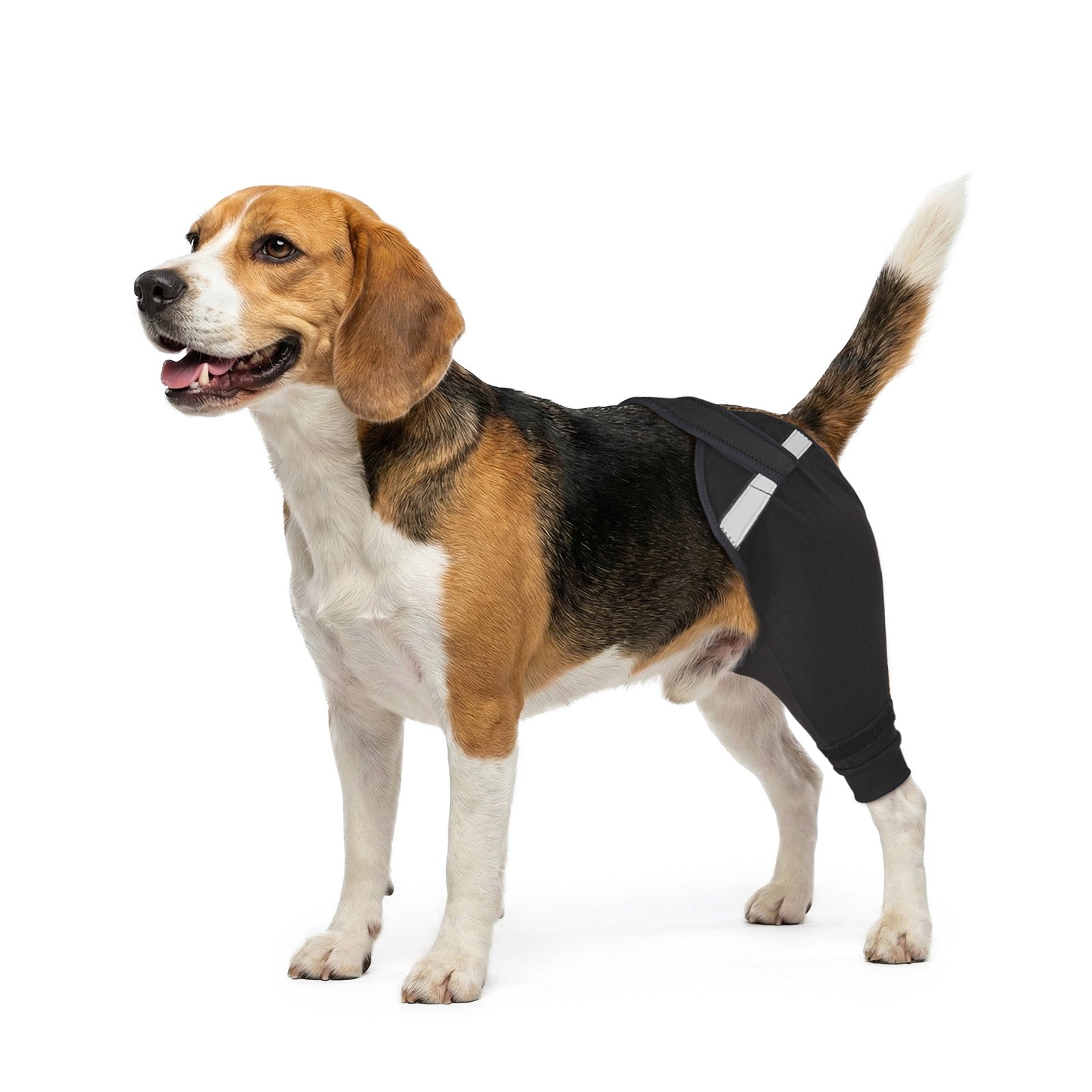 Upgraded Dog Rear Leg Sleeve_black-supet