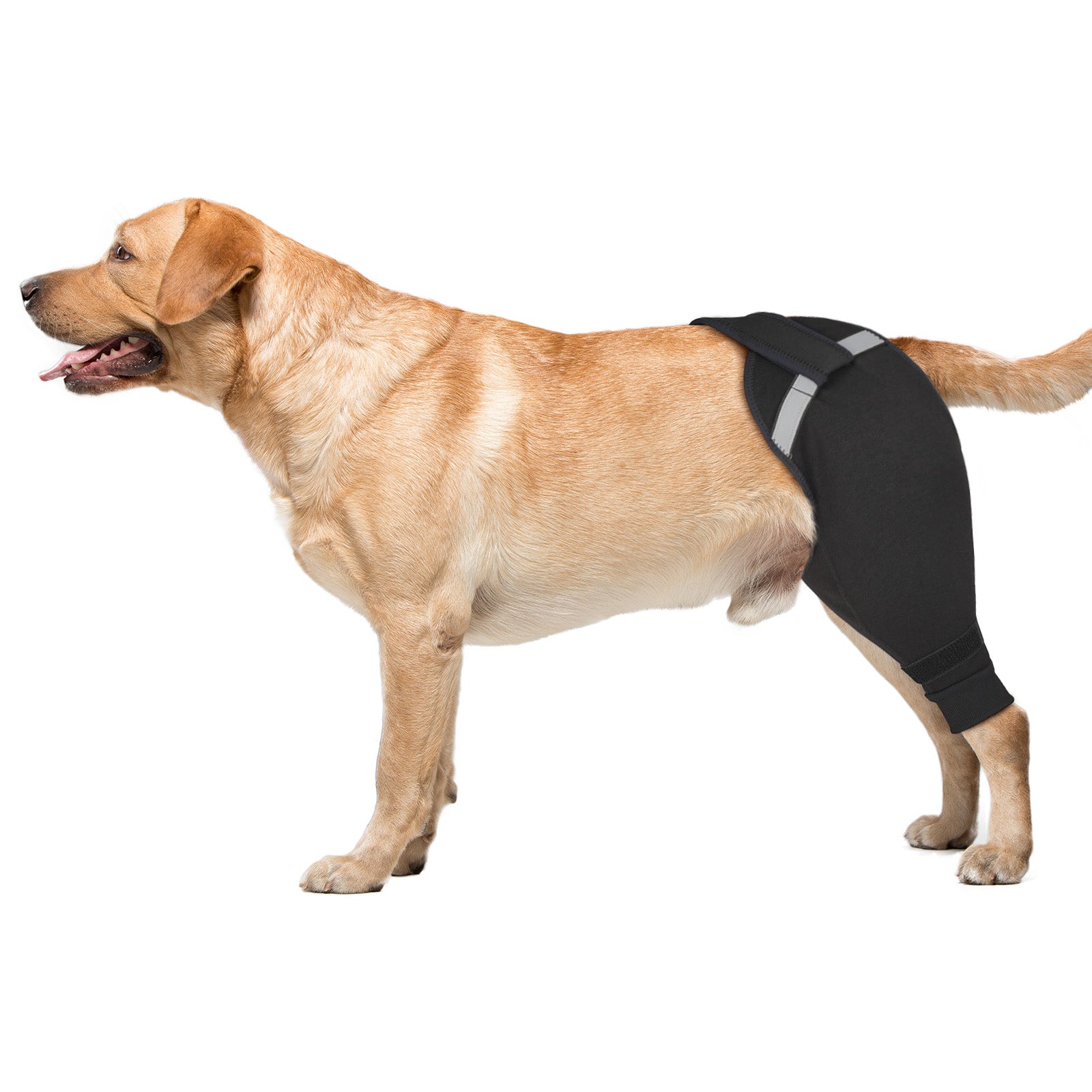 Upgraded Dog Rear Leg Sleeve_black-supet