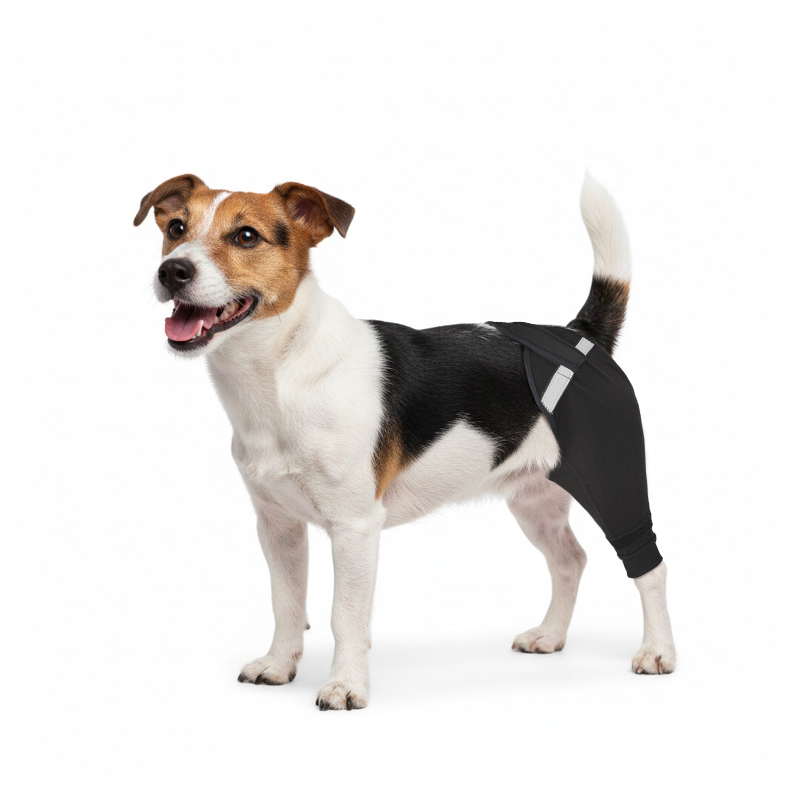 Upgraded Dog Rear Leg Sleeve_black-supet