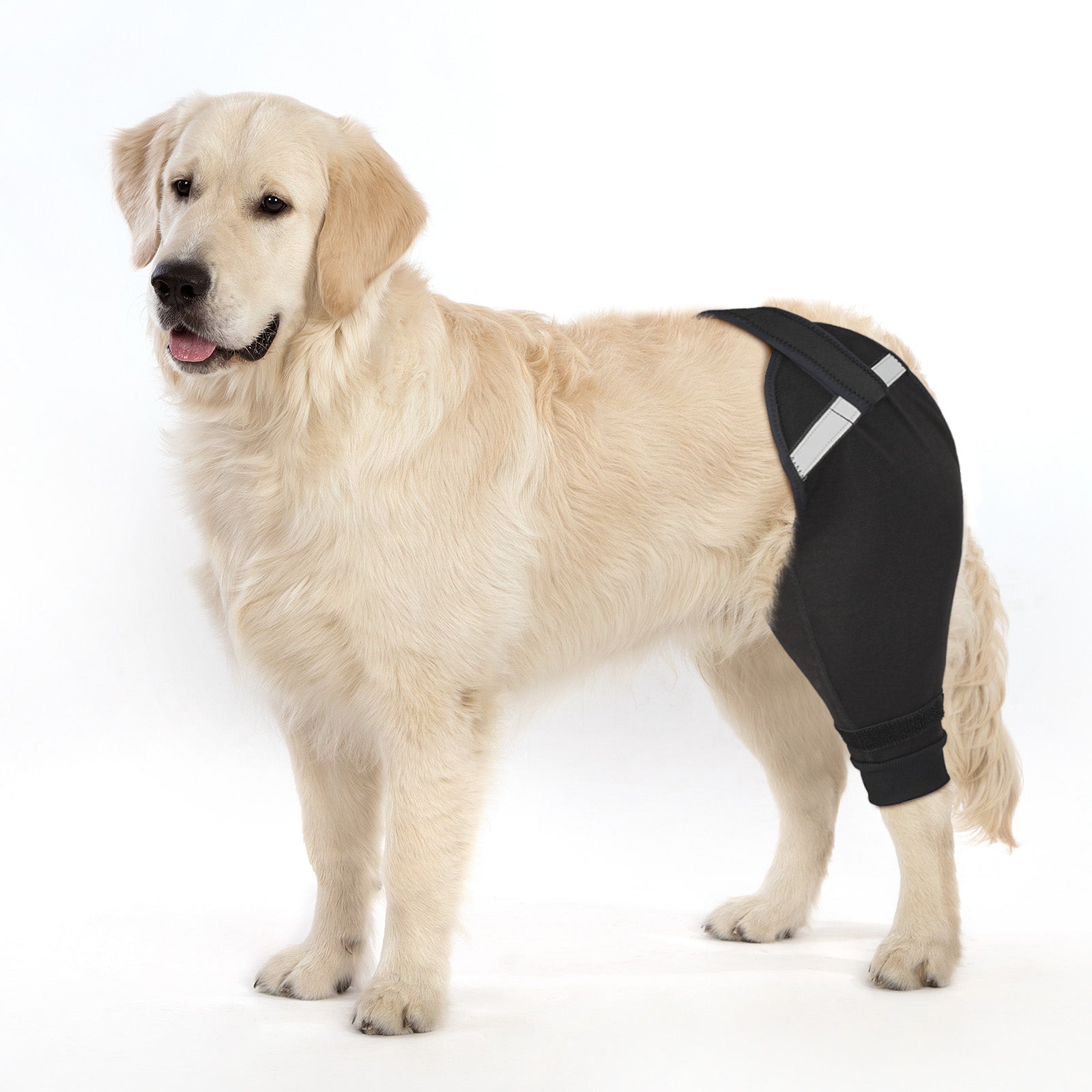 Upgraded Dog Rear Leg Sleeve_black-supet