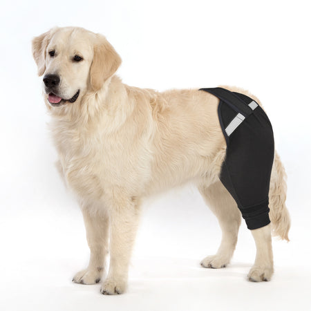 Upgraded Dog Rear Leg Sleeve_black-supet