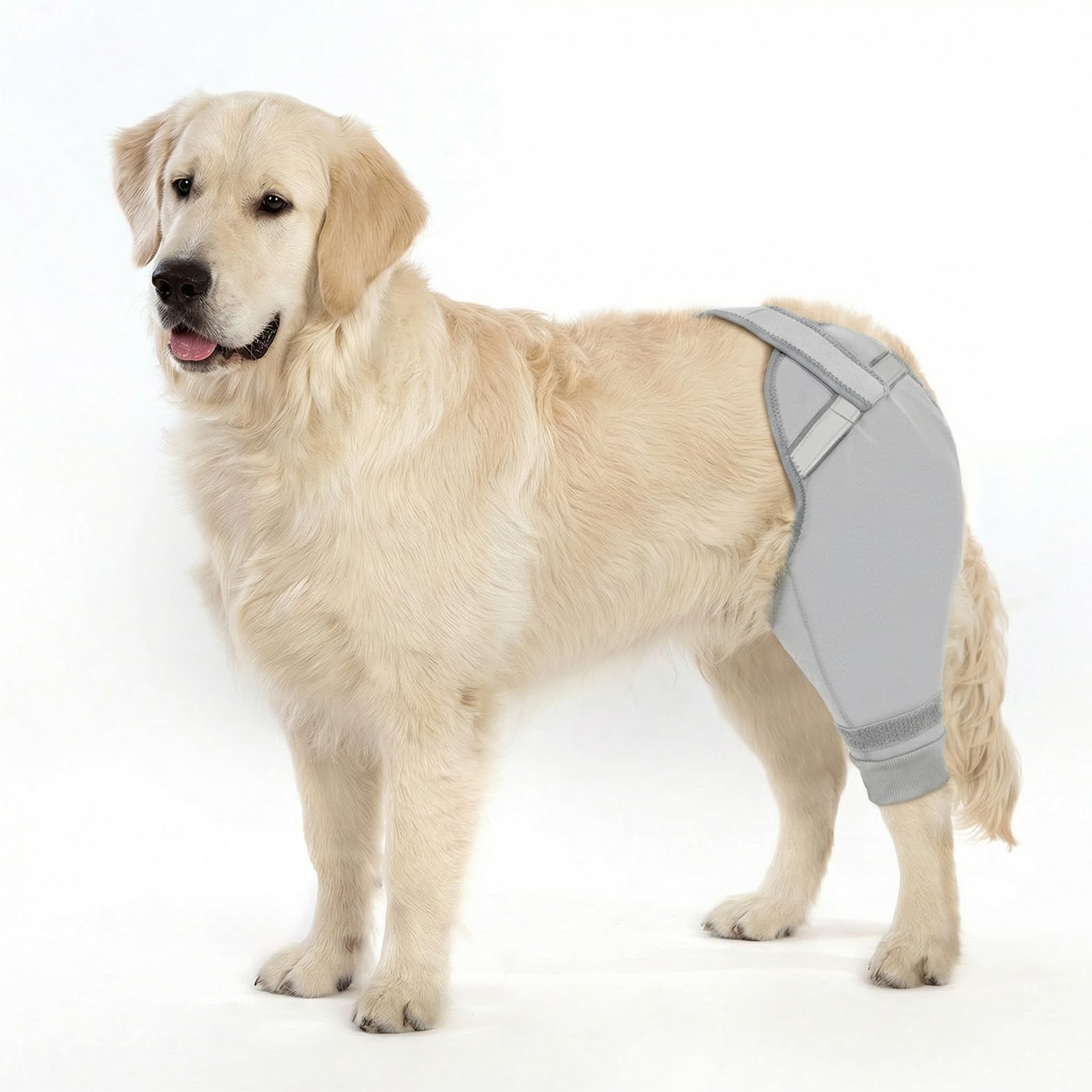 Upgraded Dog Rear Leg Sleeve_grey-supet
