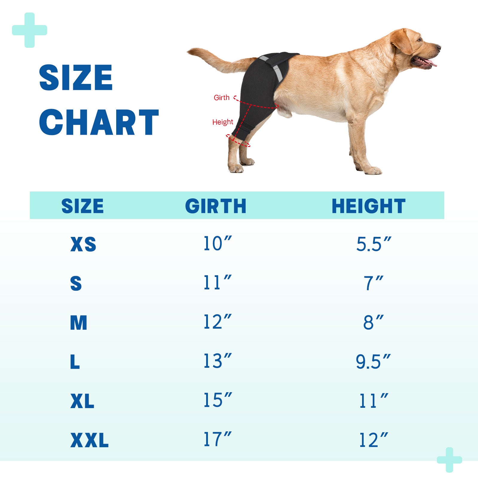Upgraded Dog Rear Leg Sleeve_size-supet