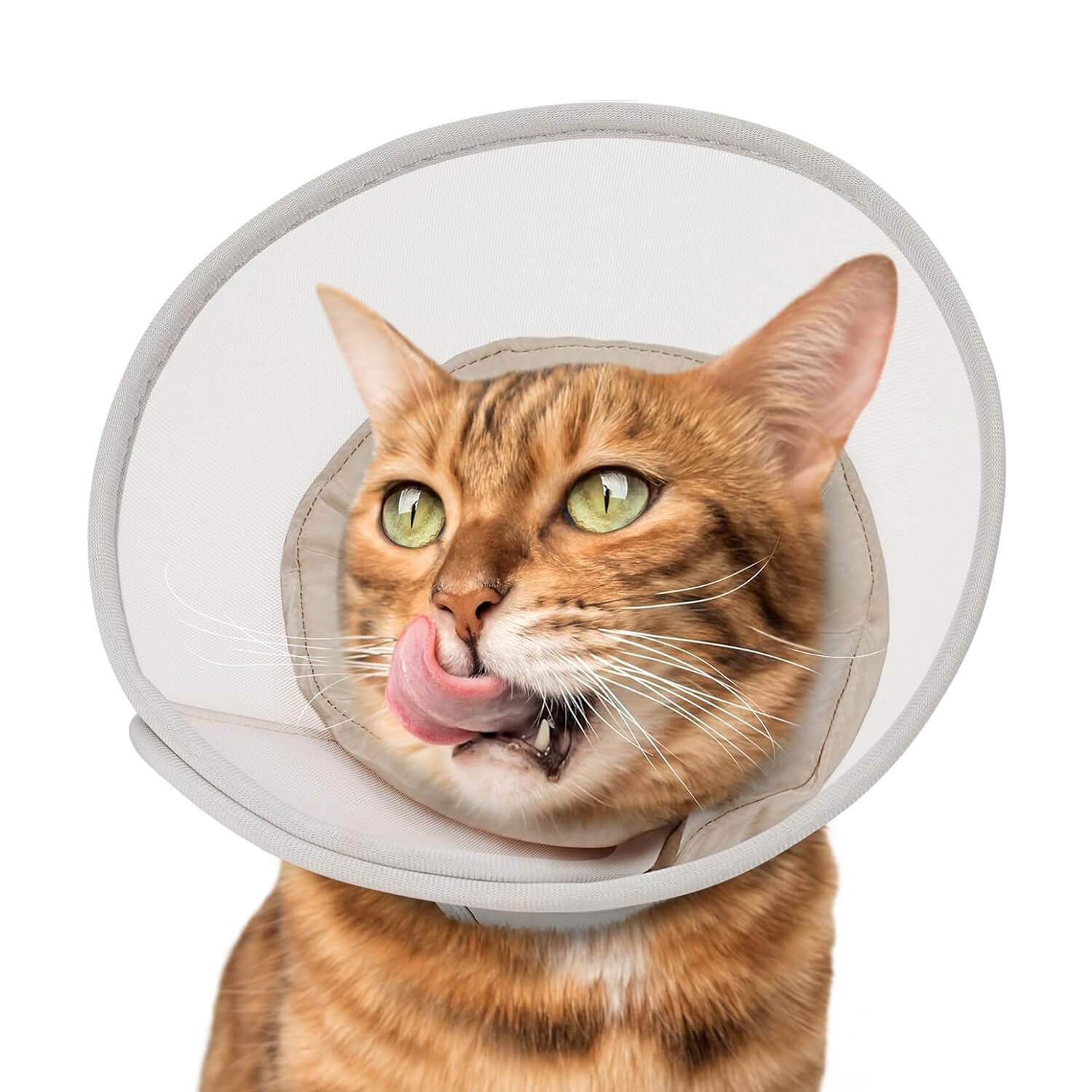 Waterproof Mesh Cat Cone_Grey-supet