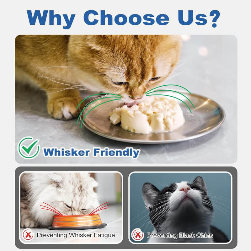 Cuenco de acero inoxidable para gatos Supet 