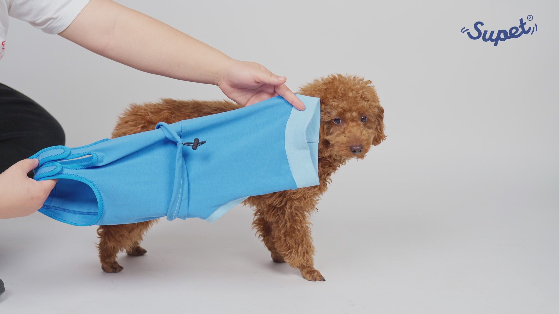 Dog Recovery Suit_video-Supet