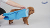 Dog Recovery Suit_video-Supet