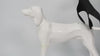 Dog Rear Leg Sleeve_video-Supet