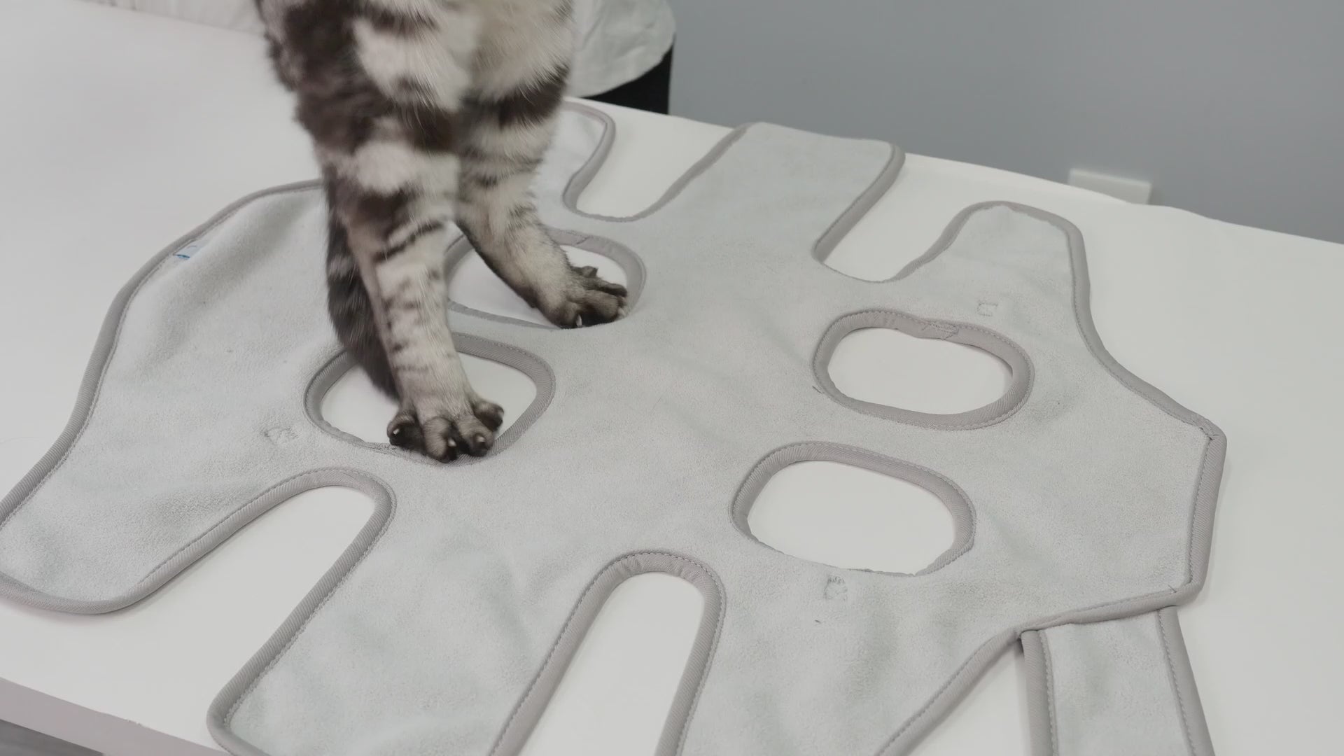 Silent Cat Grooming Hammock_video-Supet 