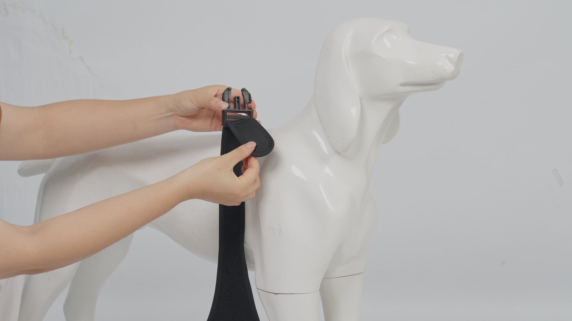 DogElbowSleeve_video-supet