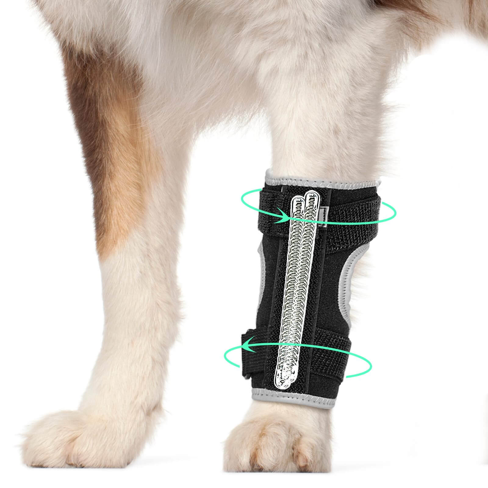 Dog Front Leg Brace_black-Supet