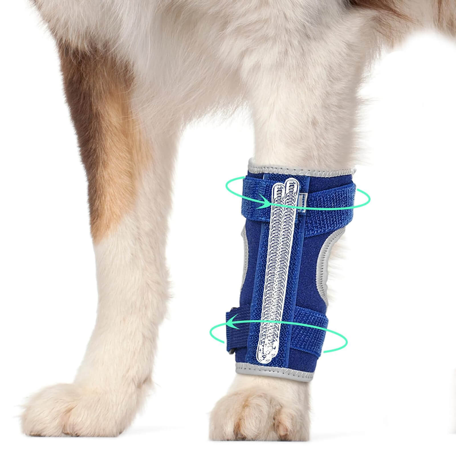 Dog Front Leg Brace_blue-Supet