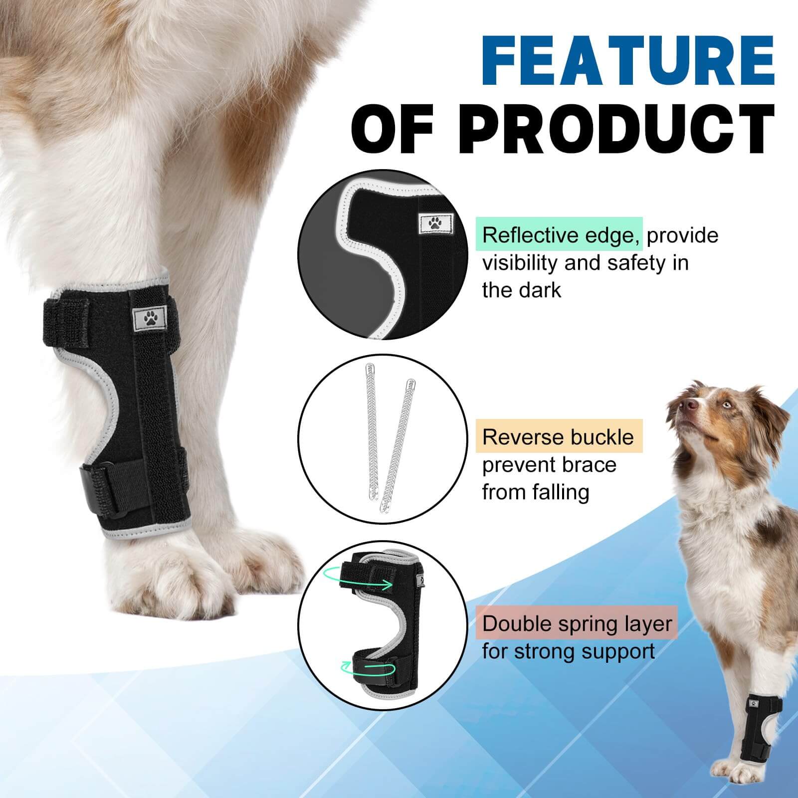 Dog Front Leg Brace1-Supet