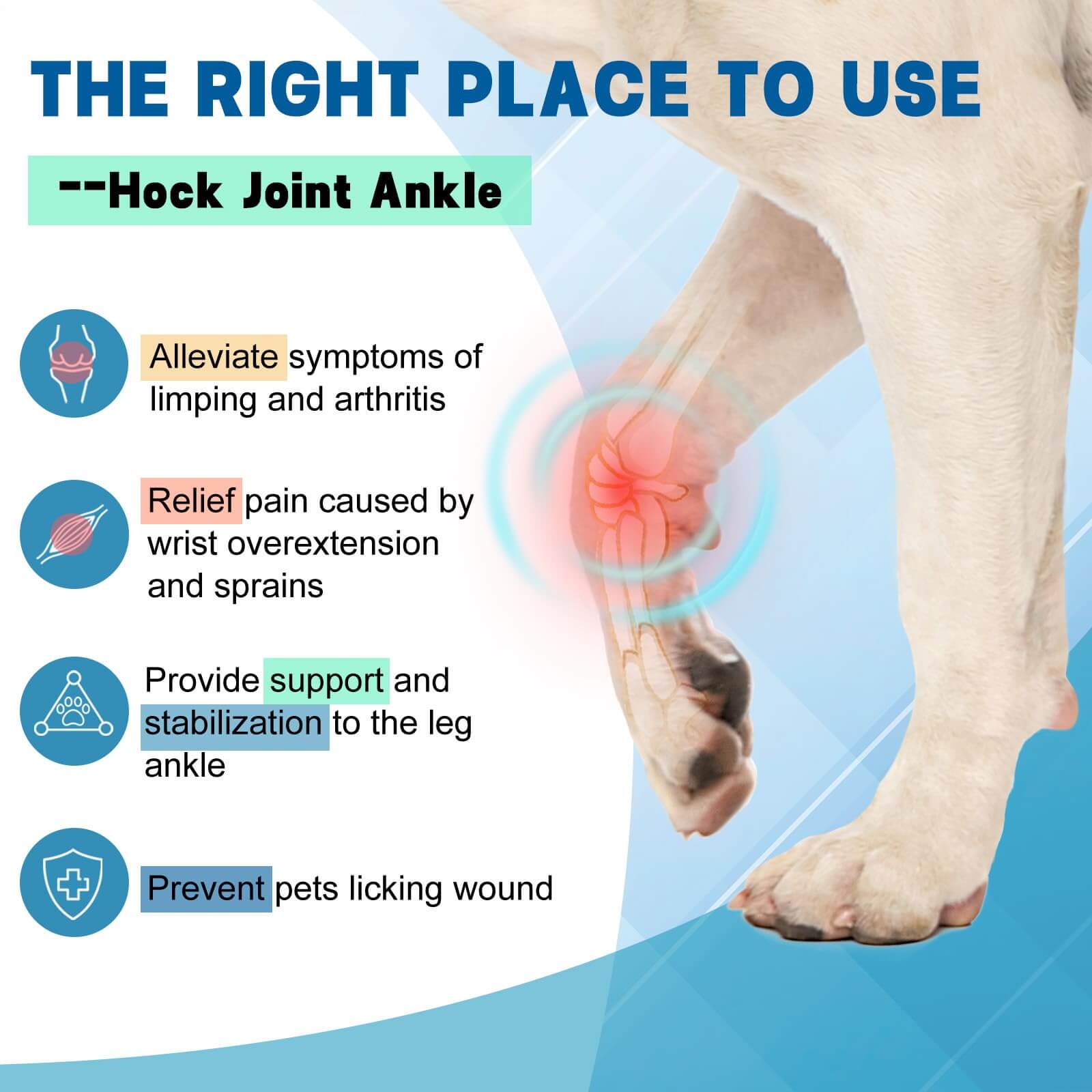 Dog Front Leg Brace2-Supet