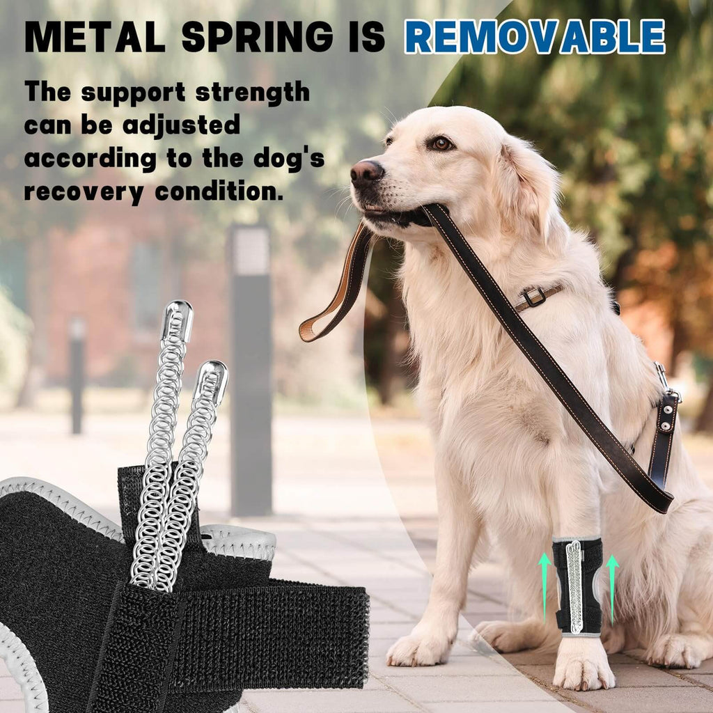 Dog Front Leg Brace4-Supet