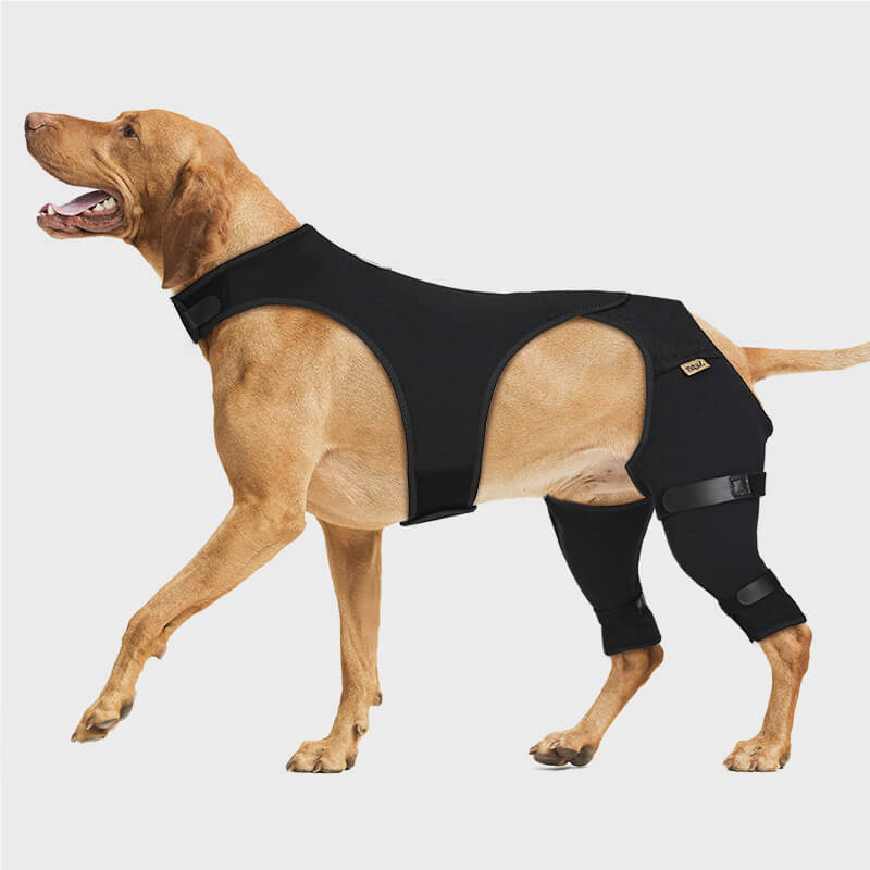 Dog Rear Leg Sleeve-supet