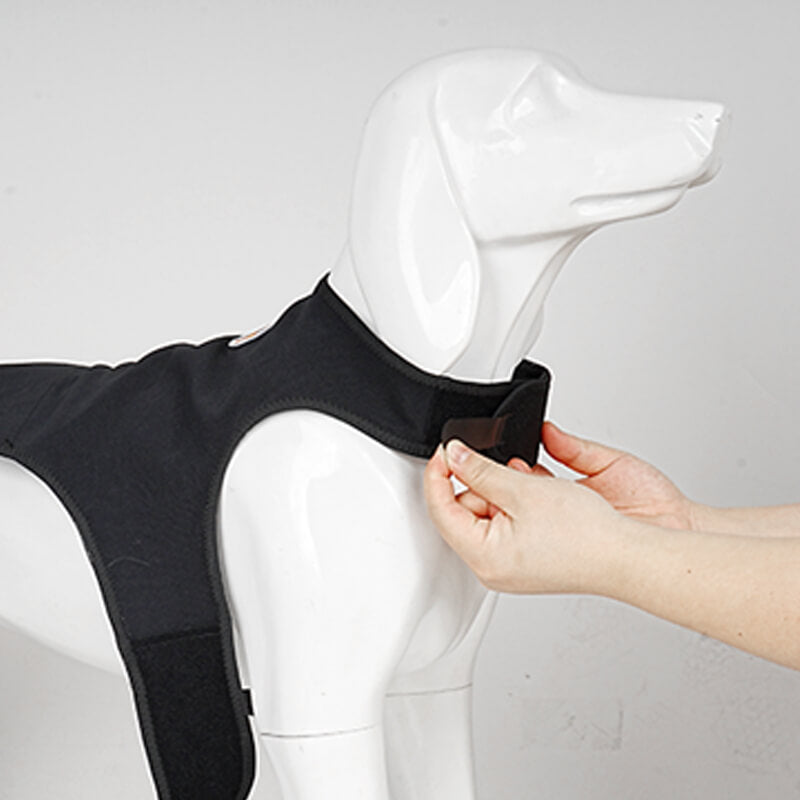  Dog Rear Leg Sleeve2-supet