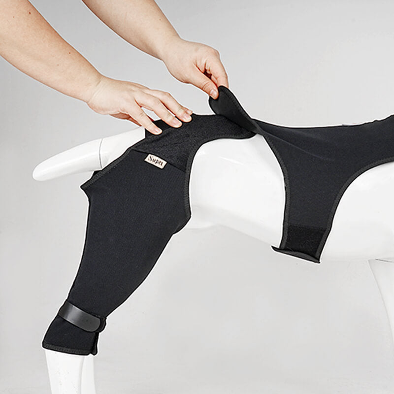  Dog Rear Leg Sleeve3-supet