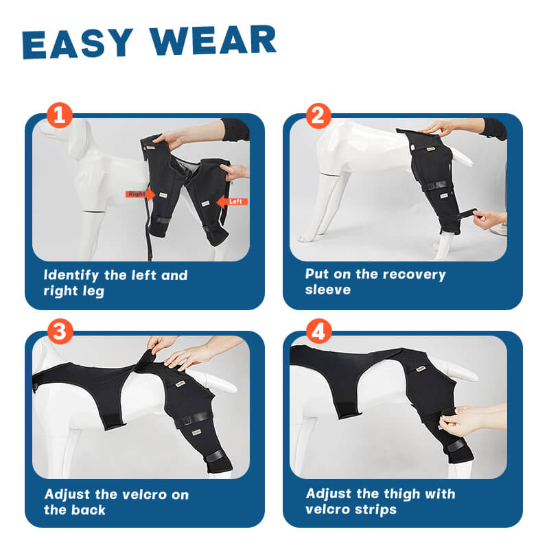  Dog Rear Leg Sleeve6-supet