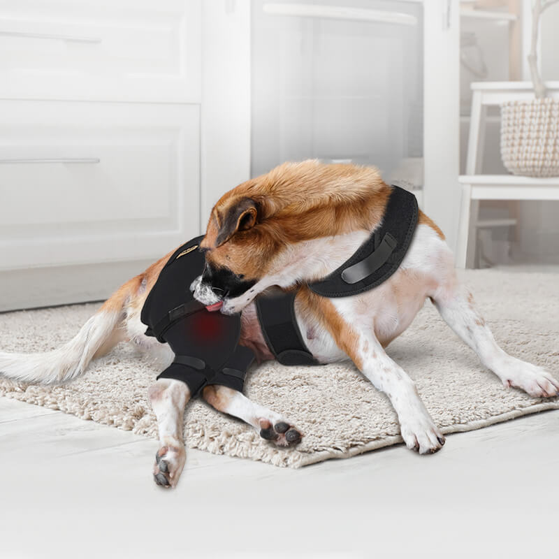  Dog Rear Leg Sleeve7-supet