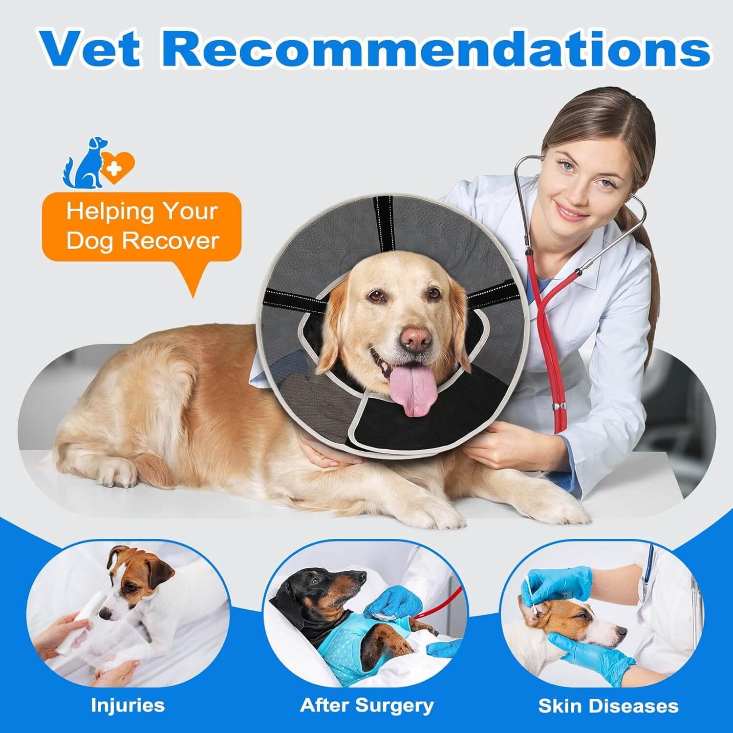 Mesh Dog Cone1-supet