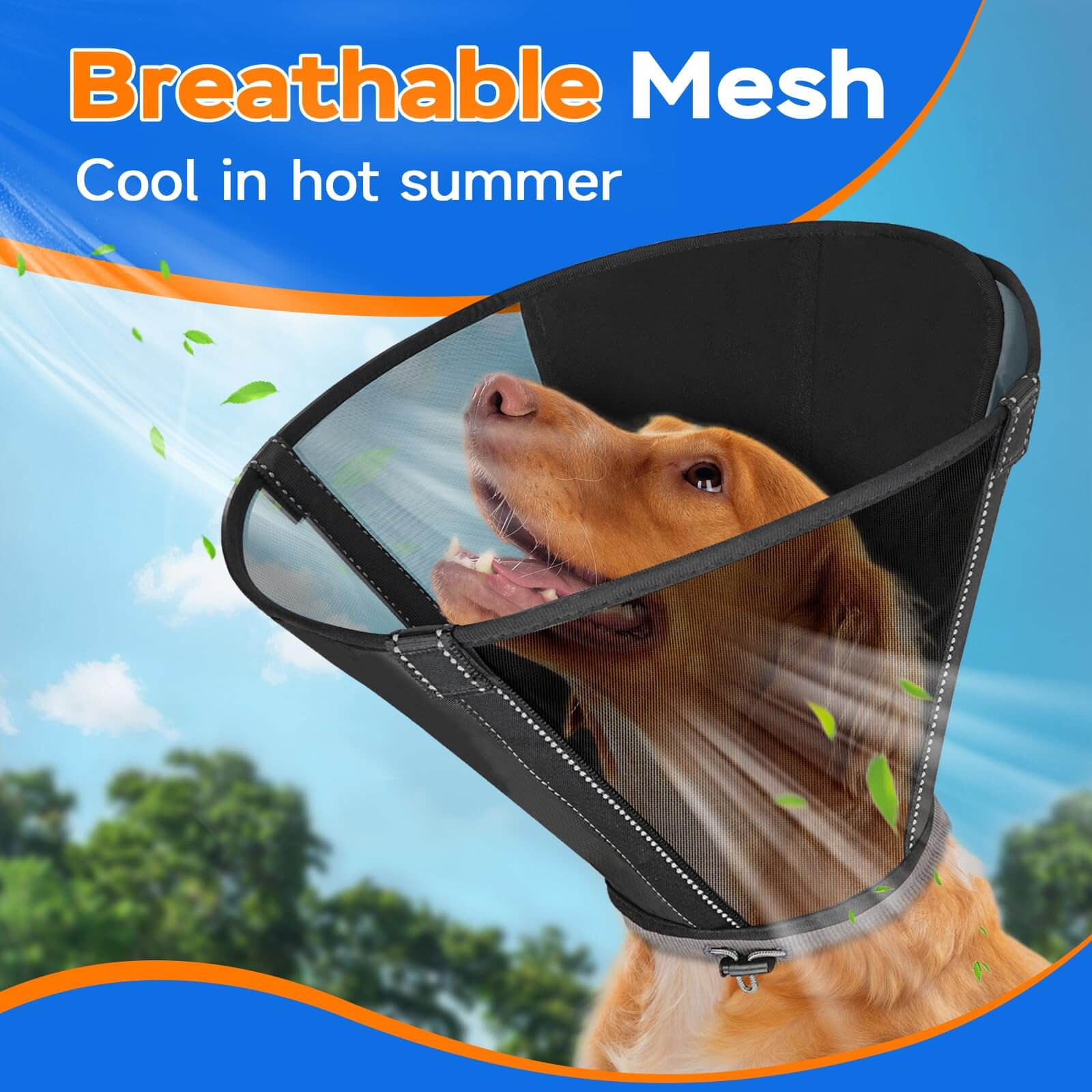 Mesh Dog Cone2-supet