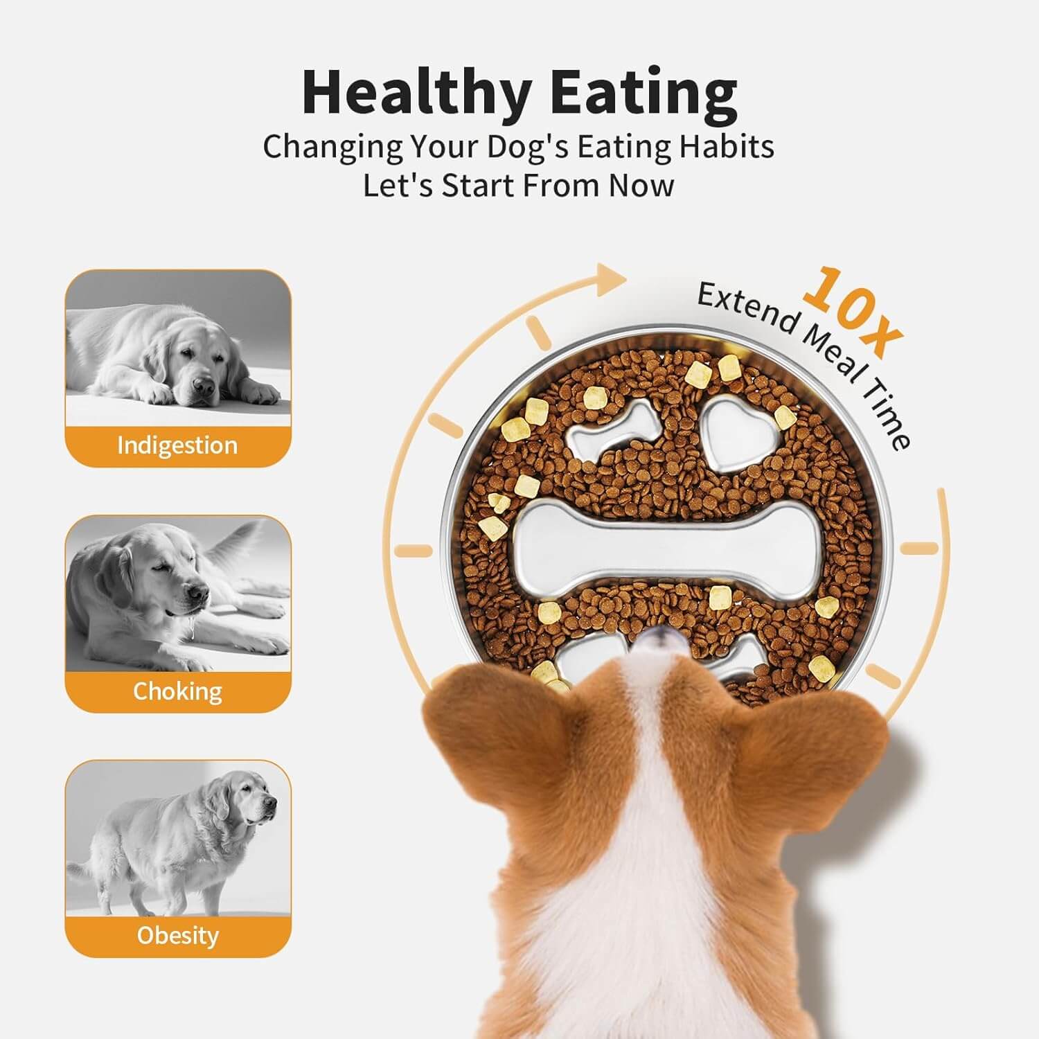 Slow Dog Feeder2-supet