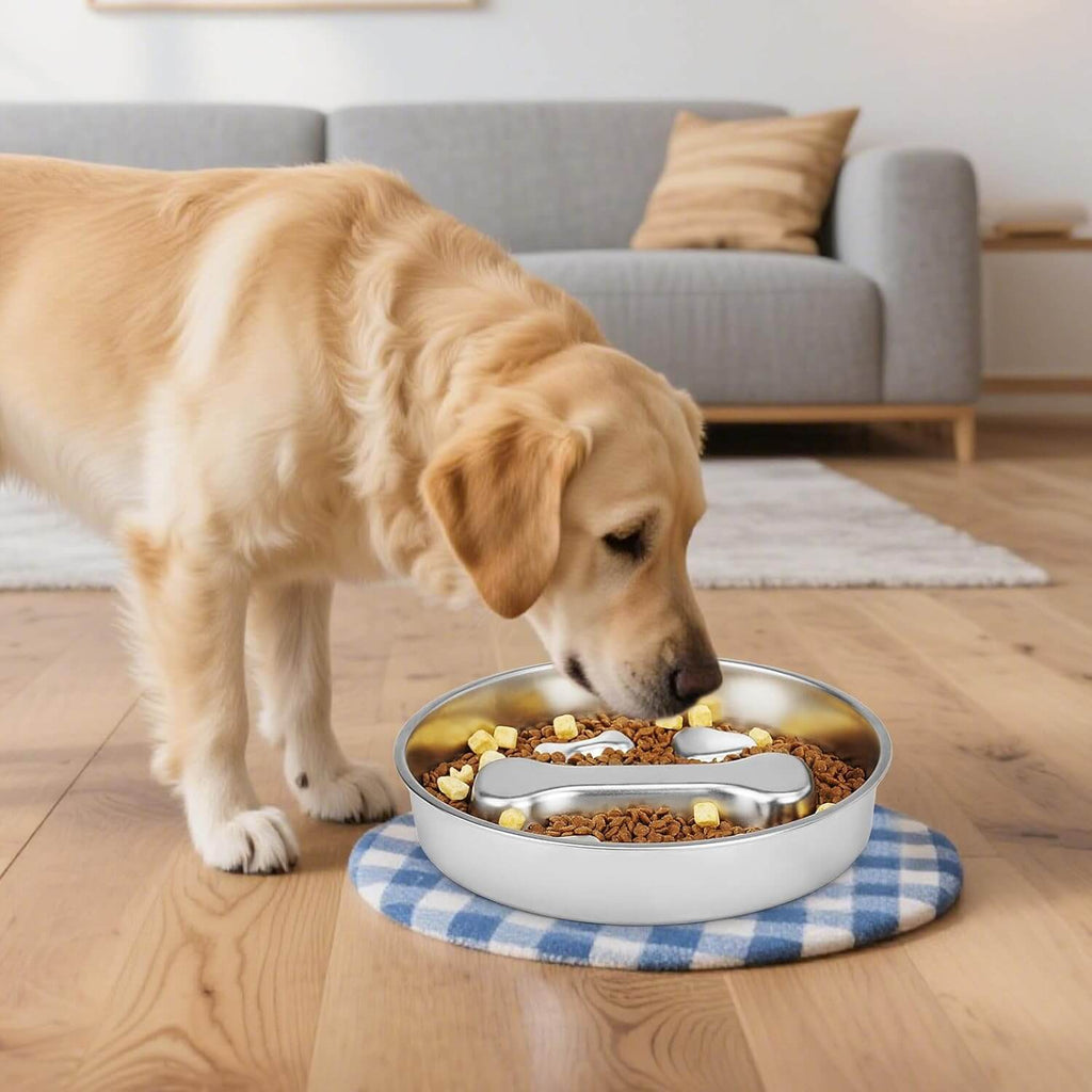 Slow Dog Feeder4-supet