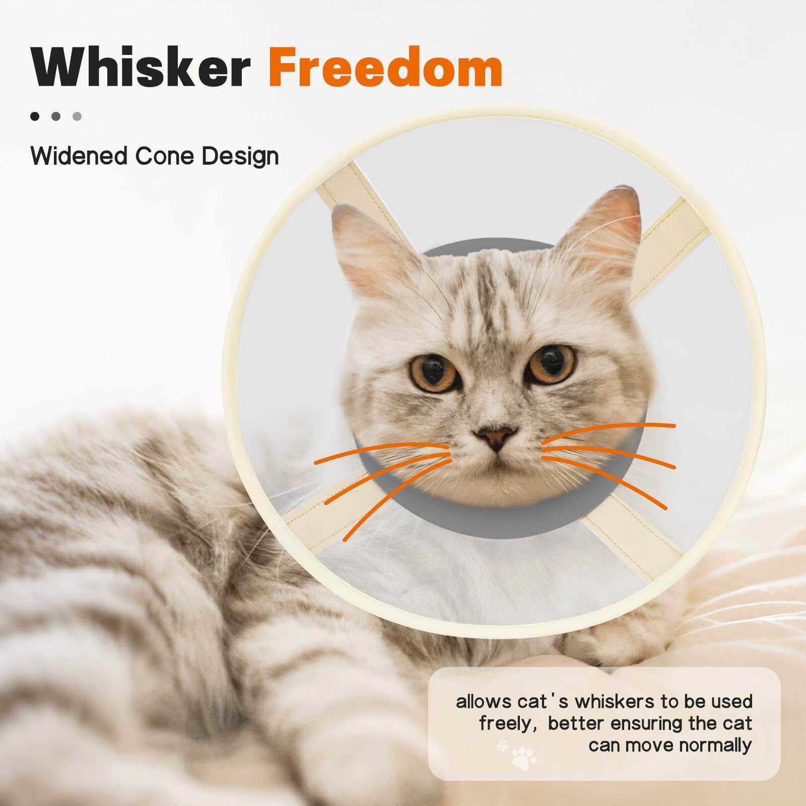 Soft Mesh Cat Cone1-supet