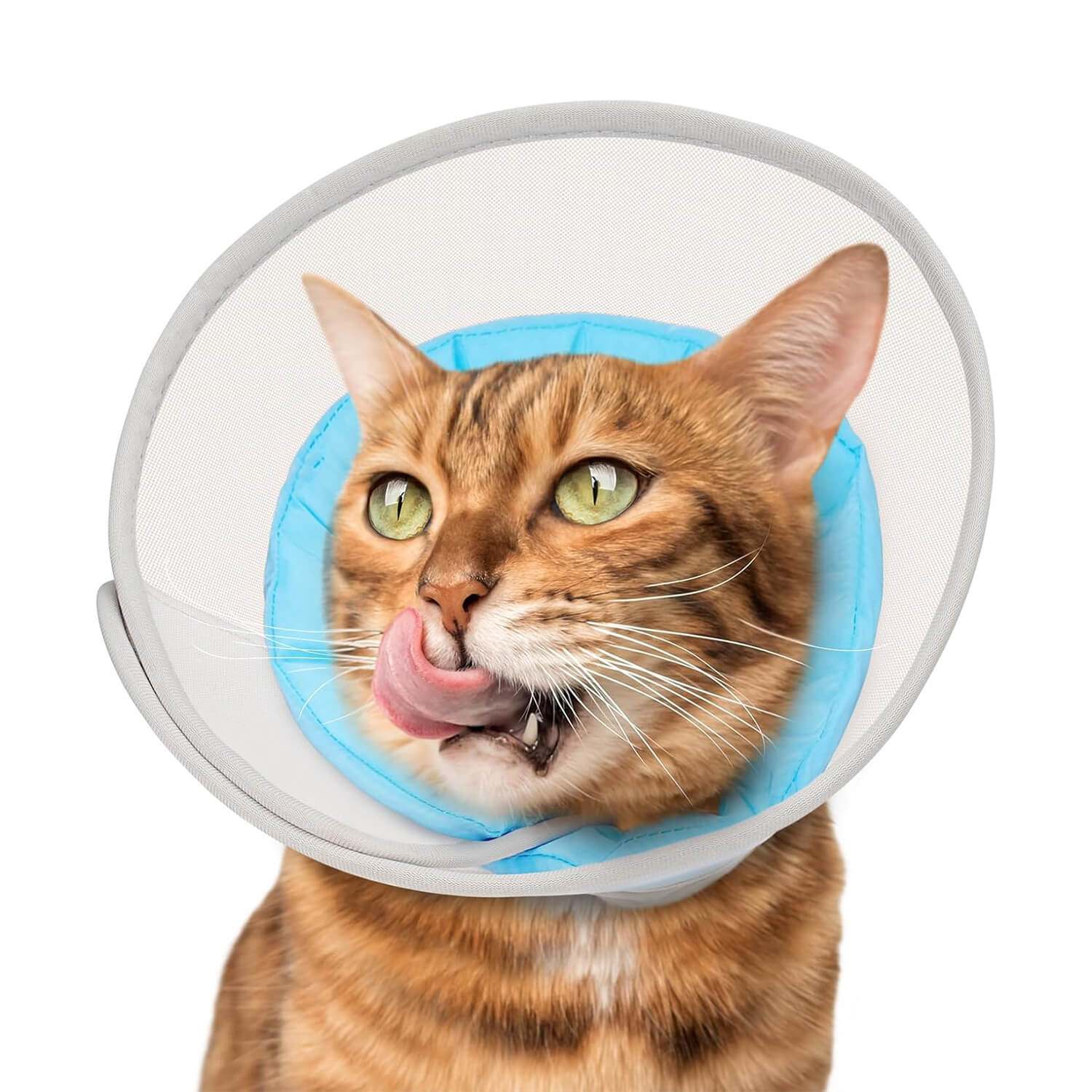 Waterproof Mesh Cat Cone_blue-supet