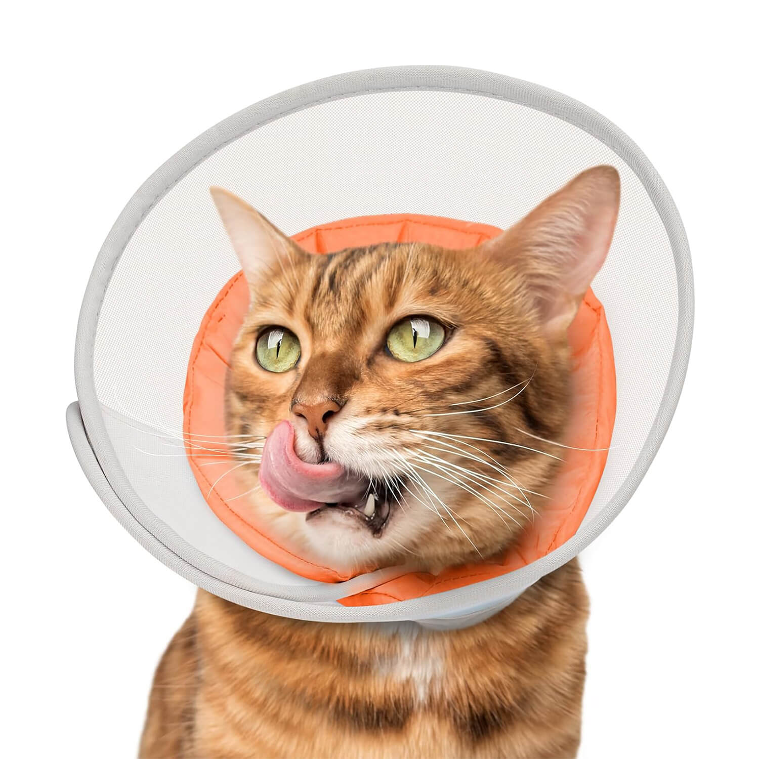 Waterproof Mesh Cat Cone_orange-supet