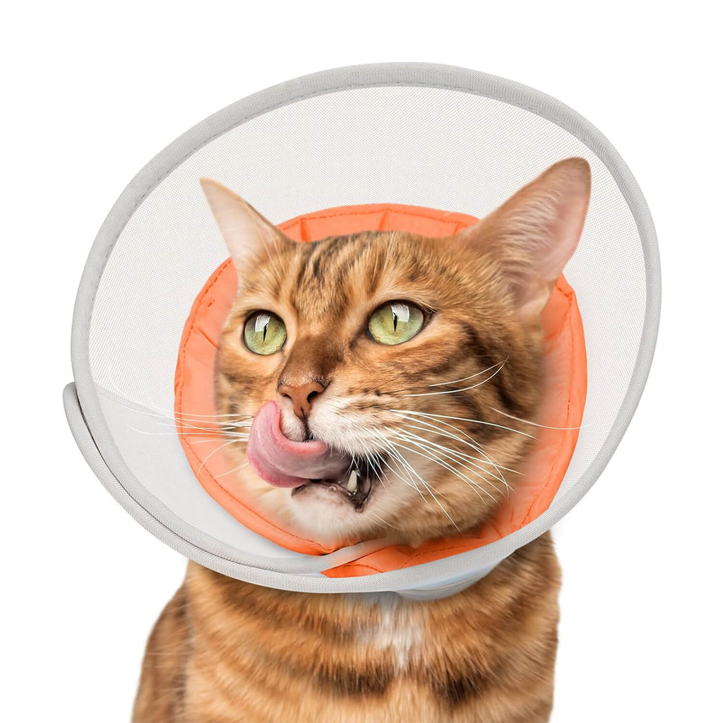 Waterproof Mesh Cat Cone_orange-supet