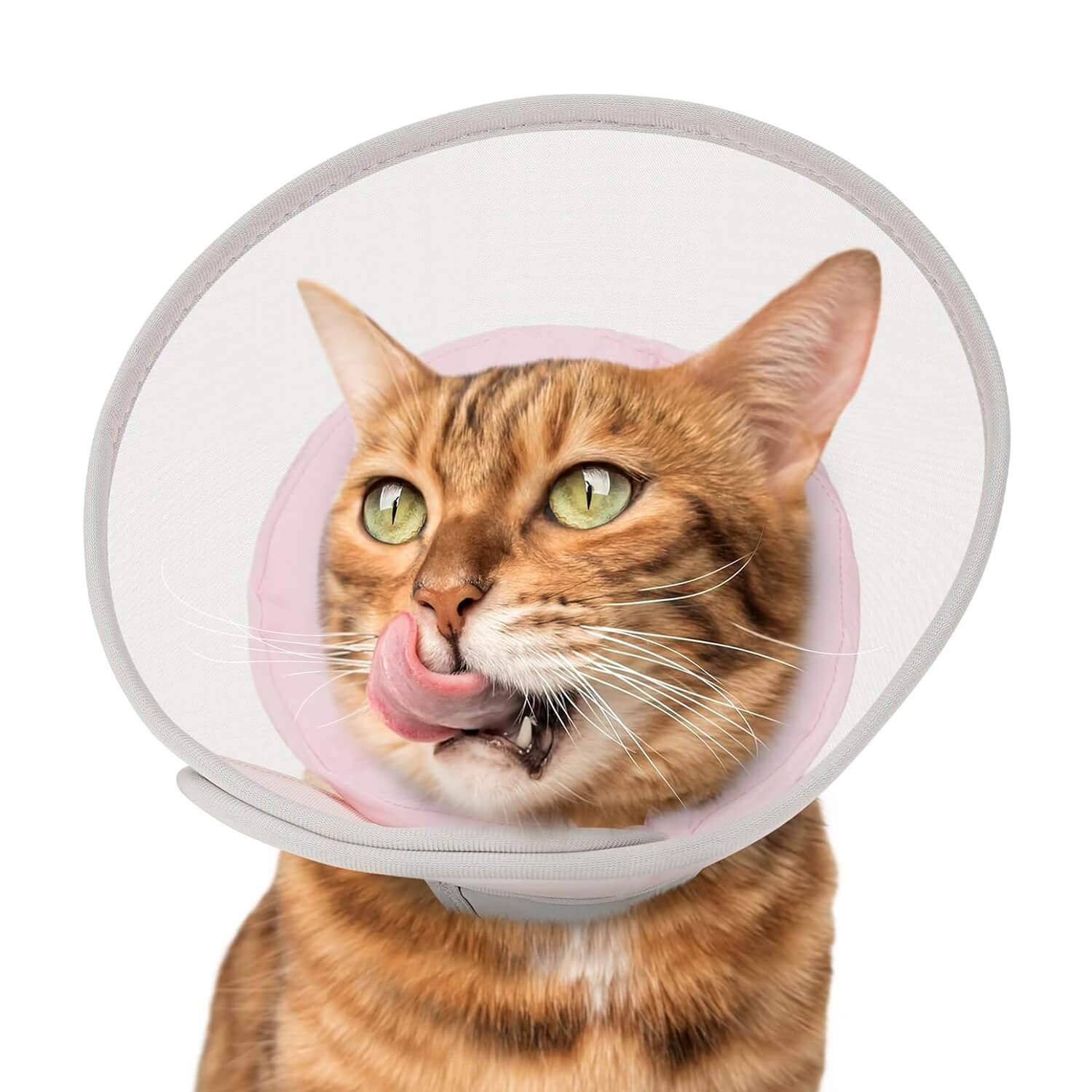 Waterproof Mesh Cat Cone_pink-supet