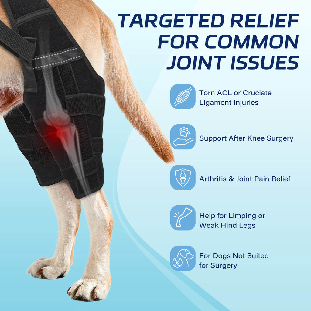 dog double knee brace1-supet
