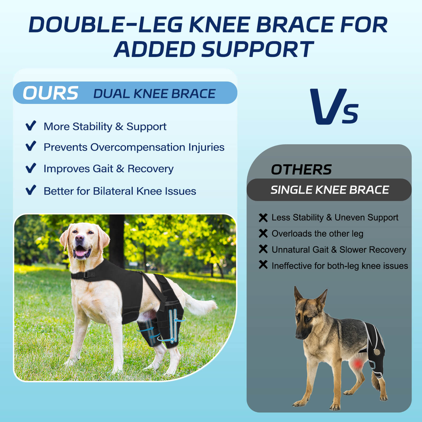 dog double knee brace3-supet