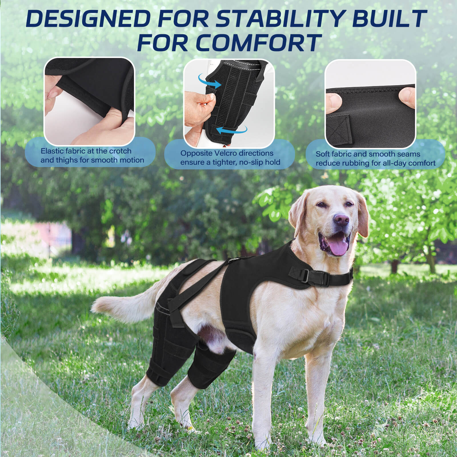 dog double knee brace4-supet