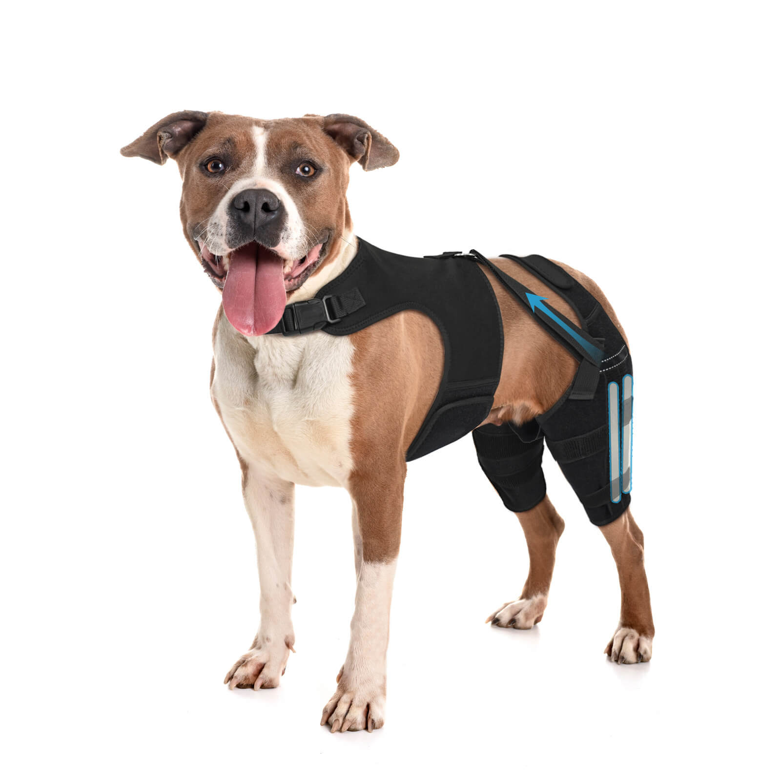 dog double knee brace_L-supet