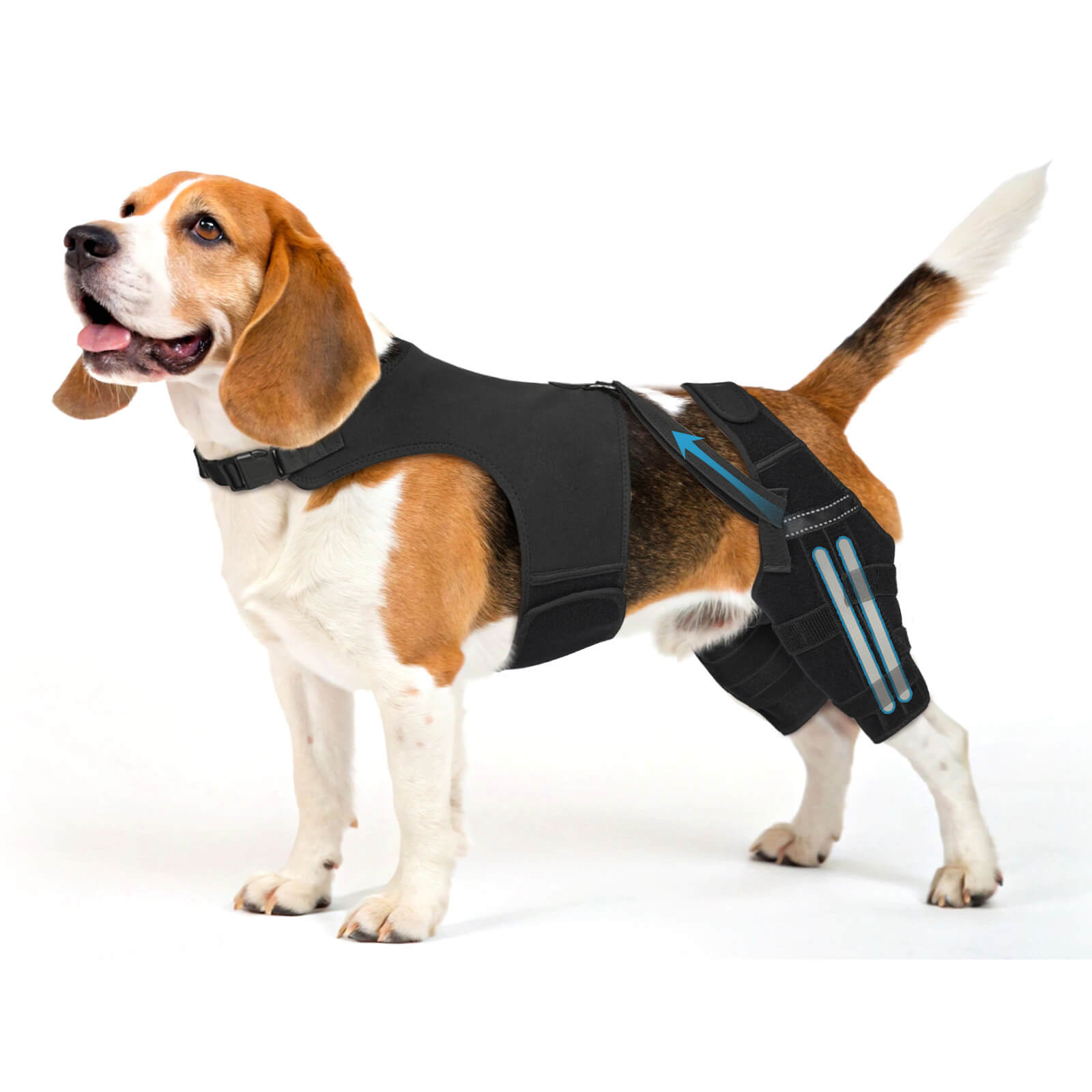 dog double knee brace_M-supet