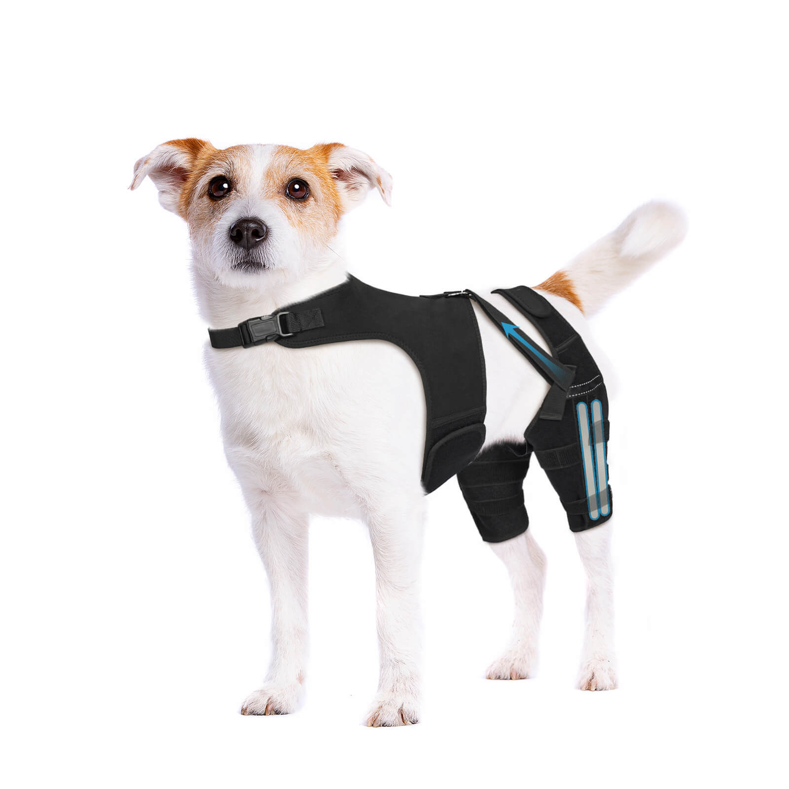 dog double knee brace_S-supet