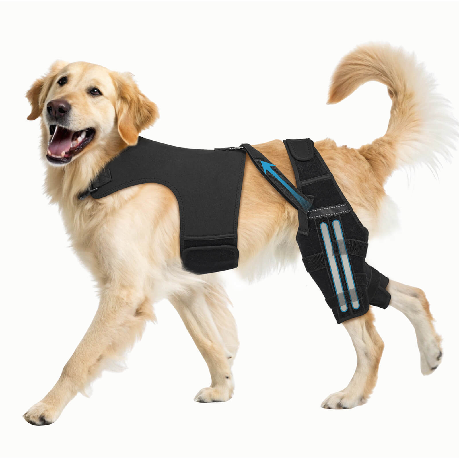dog double knee brace_XL-supet