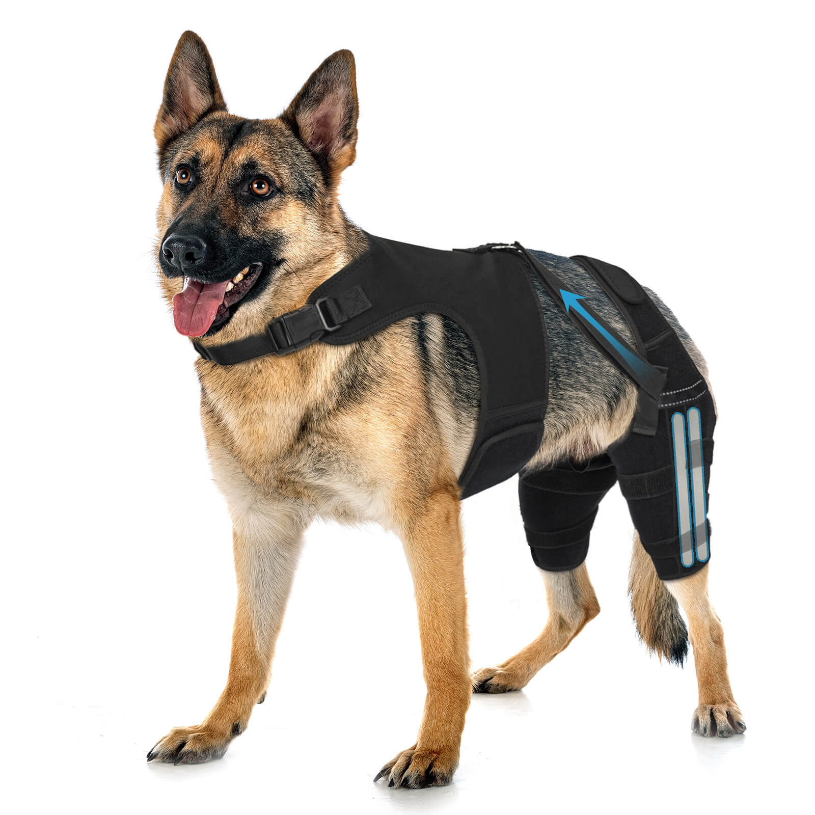 dog double knee brace_XXL-supet