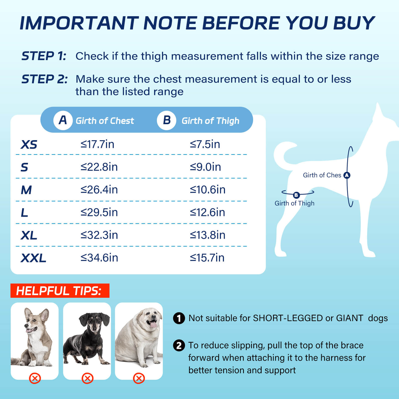 dog double knee brace_Size-supet