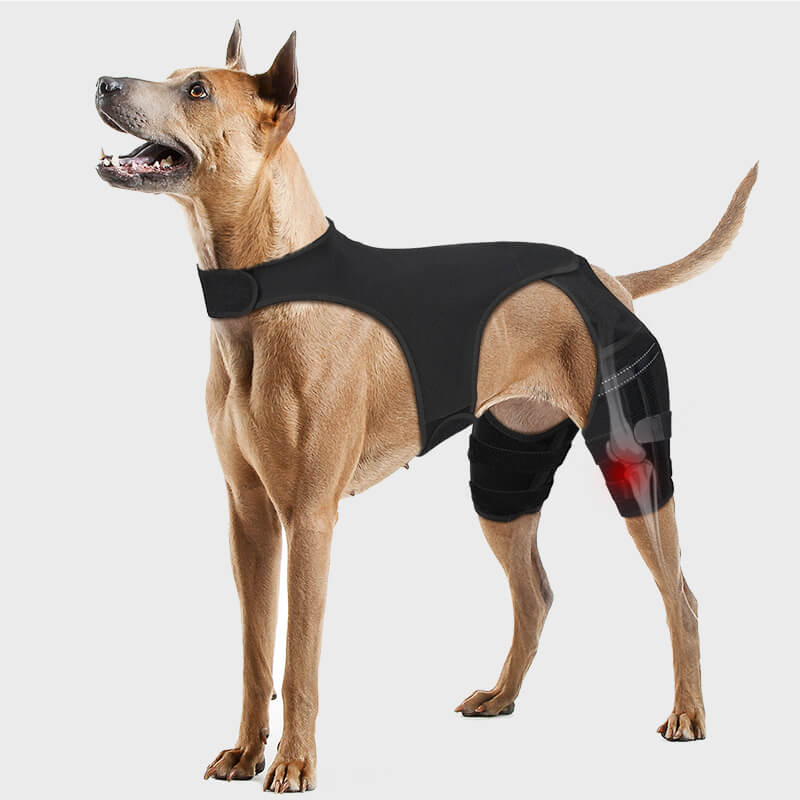 dog knee brace_2xl-supet